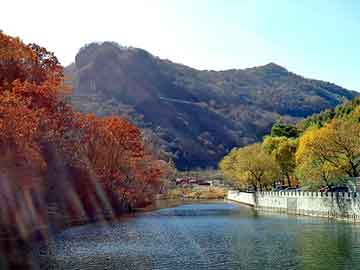 新澳天天开奖资料大全旅游团，平陆野猪